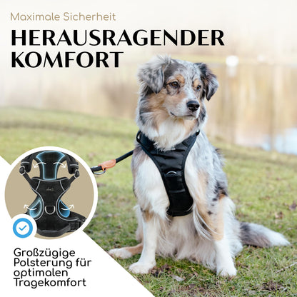 FREUDENTIER Hundegeschirr Clyde Black Edition mit Griff, Schwarz, M