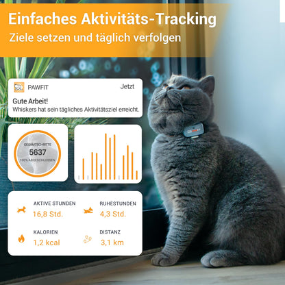 Pawfit Lite GPS-Tracker für Katzen, 4G Echtzeit-Tracking, schwarz