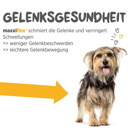 maxxipaws maxxiflex+ Gelenktabletten für Hunde, 120 Stück