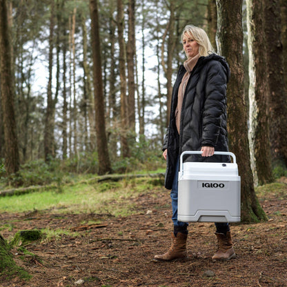 Igloo IE27 elektrische Kühlbox 27 L, 12V/230V, Grau