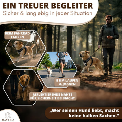 HAVERO Easy-On-Clip Hundegeschirr mit Y-Schnitt, Schwarz, L
