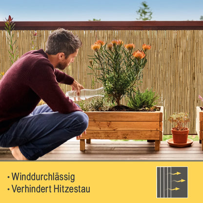 Sol Royal SolVision S36 Schilfmatte Sichtschutz 140x600 cm