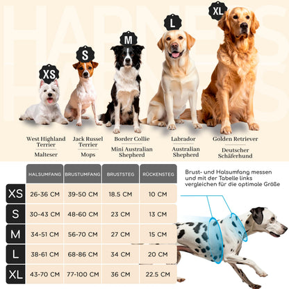 FREUDENTIER Hundegeschirr Clyde Black Edition mit Griff, Schwarz, M