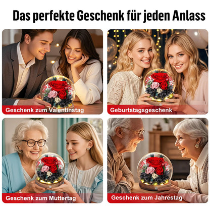 MAMAMIKO Konservierte Rose im Glas mit LED-Licht, Ewige Rose Rot