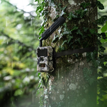DÖRR Cloud Mini 4G/LTE Wildkamera, 12 MP, Full HD, Infrarotblitz