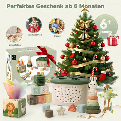 Auezona Montessori Spielzeug ab 6 Monaten, 5-in-1 Baby Lernspielzeug