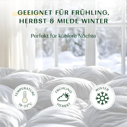 WENDRE Ganzjahres Steppdecke Mikrofaser 220x240 – Mittelwarm