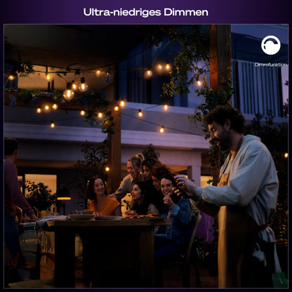 Philips Hue Festavia Globe Aussenlichterkette, 7 m, White & Color