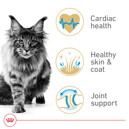 Royal Canin BREED HEALTH NUTRITION Maine Coon Trockenfutter - 6-Pound
