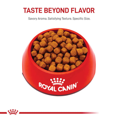 Royal Canin BREED HEALTH NUTRITION Maine Coon Trockenfutter - 6-Pound