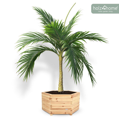 holz4home Pflanzkübel XL aus Tannenholz, sechseckiger Blumenkübel