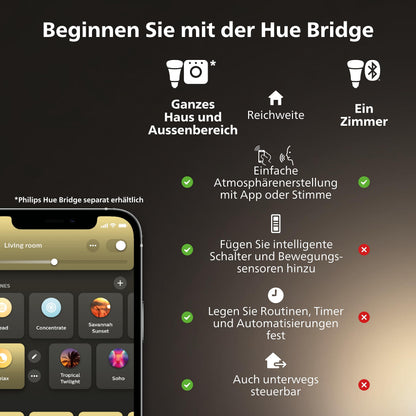 Philips Hue Festavia Lichterkette – White & Color Ambiance 20m