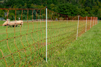 horizont easyLine Elektronetz Schafzaun 90cm/50m - 14 Pfähle
