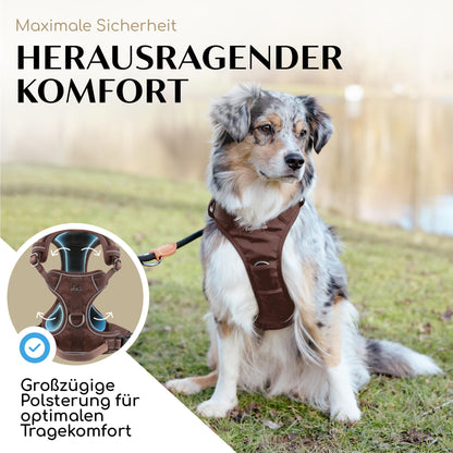 FREUDENTIER Hundegeschirr Clyde Chocolate Edition mit Griff, Braun, M
