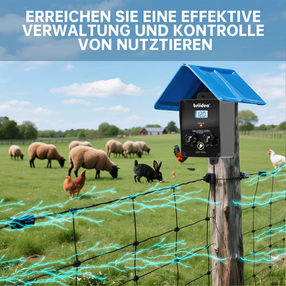 Briidea 12000V 3J Weidezaungerät – 230V LCD-Anzeige