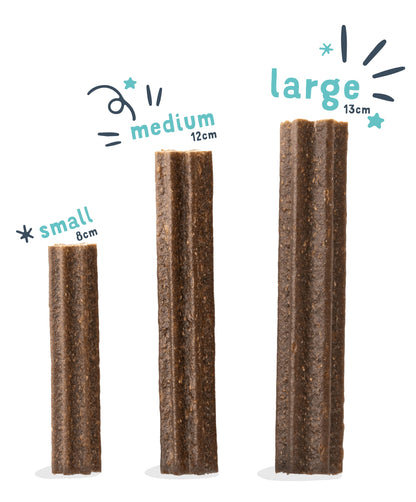 Edgard & Cooper Dental Sticks grosse Hunde Eukalyptus & Apfel 56 Stück