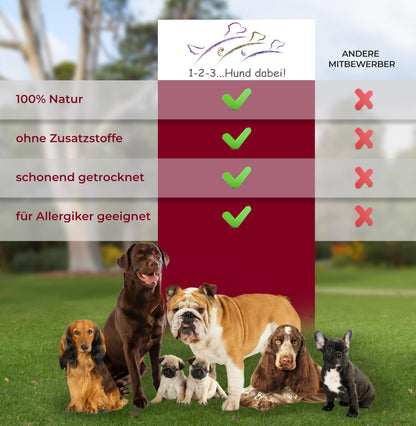 Hund dabei! Büffel-Ohren Natur-Snack - 100 Stück Vorratspaket
