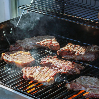 MGiessca Gusseisen Grillrost Ersatz für Enders Boston 3, Monroe Pro 3