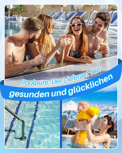 POOLPURE Filterkartusche Typ VI, ersetzt Coleman SaluSpa 90352E, 12er
