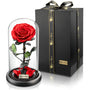 YourRoses® Echte Premium Rose im Glas mit Geschenkbox. Konservierte Rose in roter Blüte unter Glaskuppel, in schwarzer Box. Für elegante Geschenke.