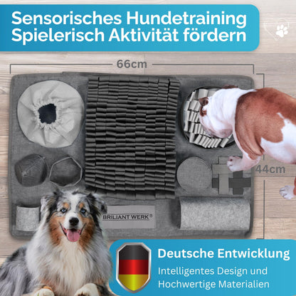 Briliantwerk Schnüffelteppich für Hunde – Intelligenzspielzeug, Grau