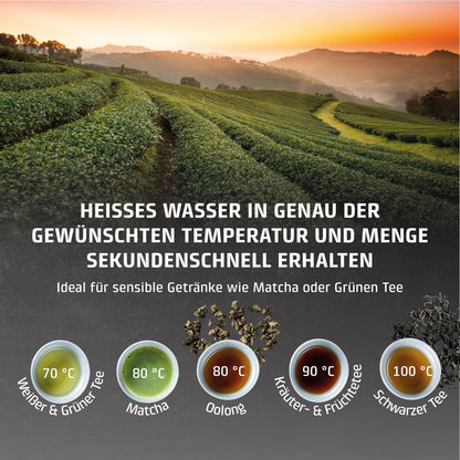 Caso HW 1660 Turbo Heisswasserspender 2600 W mit 4-Liter-Tank
