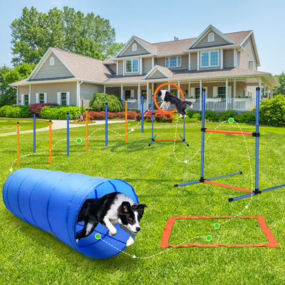 JMMPOO Agility Set Hundetraining – 65-teilige Ausrüstung