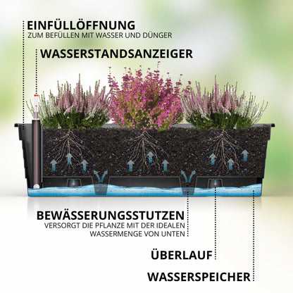 Plastard Blumenkasten Milano 3er Set, 80 cm, Anthrazit, Wasserspeicher