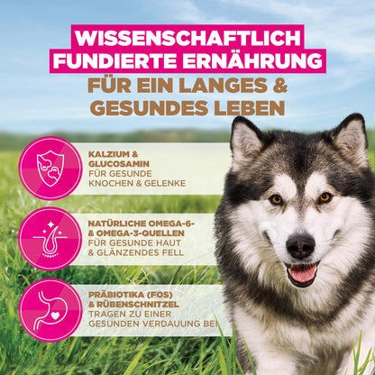 Eukanuba Hundefutter getreidefrei mit Fisch für grosse Rassen, 12 kg