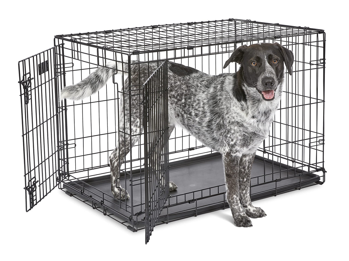 MidWest Homes for Pets iCrate 1536DDU Hundebox – Doppeltür Schwarz 90cm: Drahtgitterbox, faltbar, für Hunde.