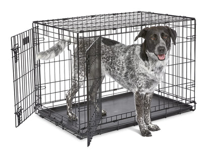MidWest Homes for Pets iCrate 1536DDU Hundebox – Doppeltür Schwarz 90cm: Drahtgitterbox, faltbar, für Hunde.