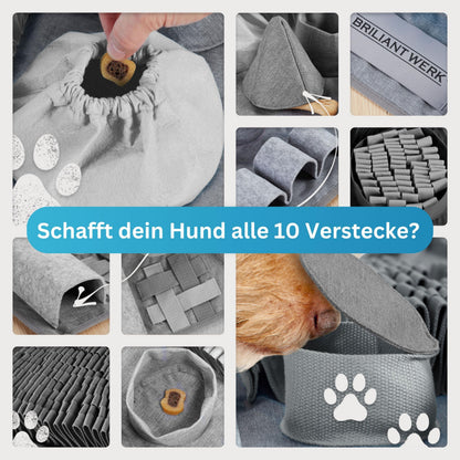 Briliantwerk Schnüffelteppich für Hunde – Intelligenzspielzeug, Grau