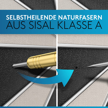 DartPro Steeldartscheibe aus Sisal - Dartboard-Set mit 6 Dartpfeilen