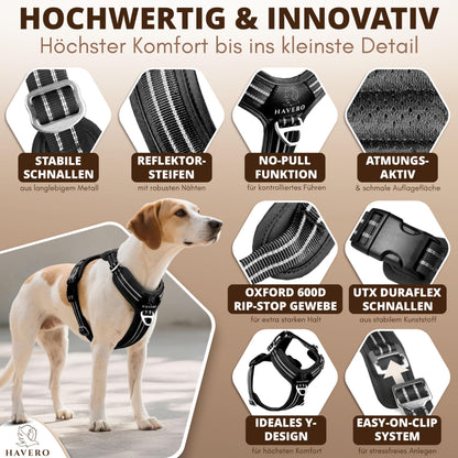 HAVERO Easy-On-Clip Hundegeschirr mit Y-Schnitt, Schwarz, L