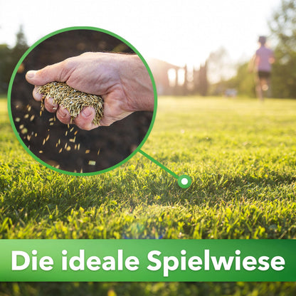 Hesa Gebrauchsrasen RSM 2.3 Rasensamen 5 kg für 200 m²