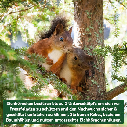 ERDENFREUND® Eichhörnchen Kobel – artgerecht mit 3 Fluchtlöchern